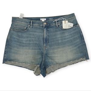 Good American Good 90's Plus Size Jean Shorts 